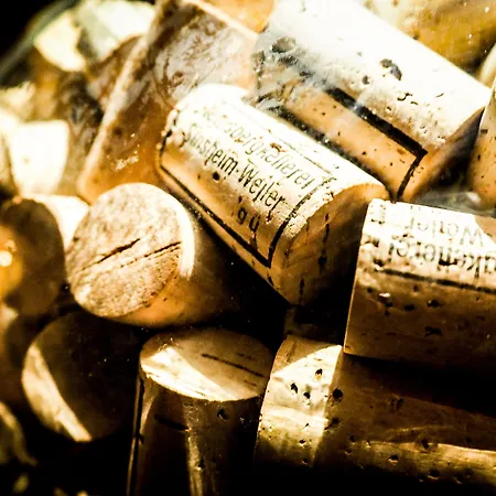 ホテル Kueferschaenke 3*