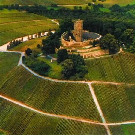 Kueferschaenke 3* ジンスハイム